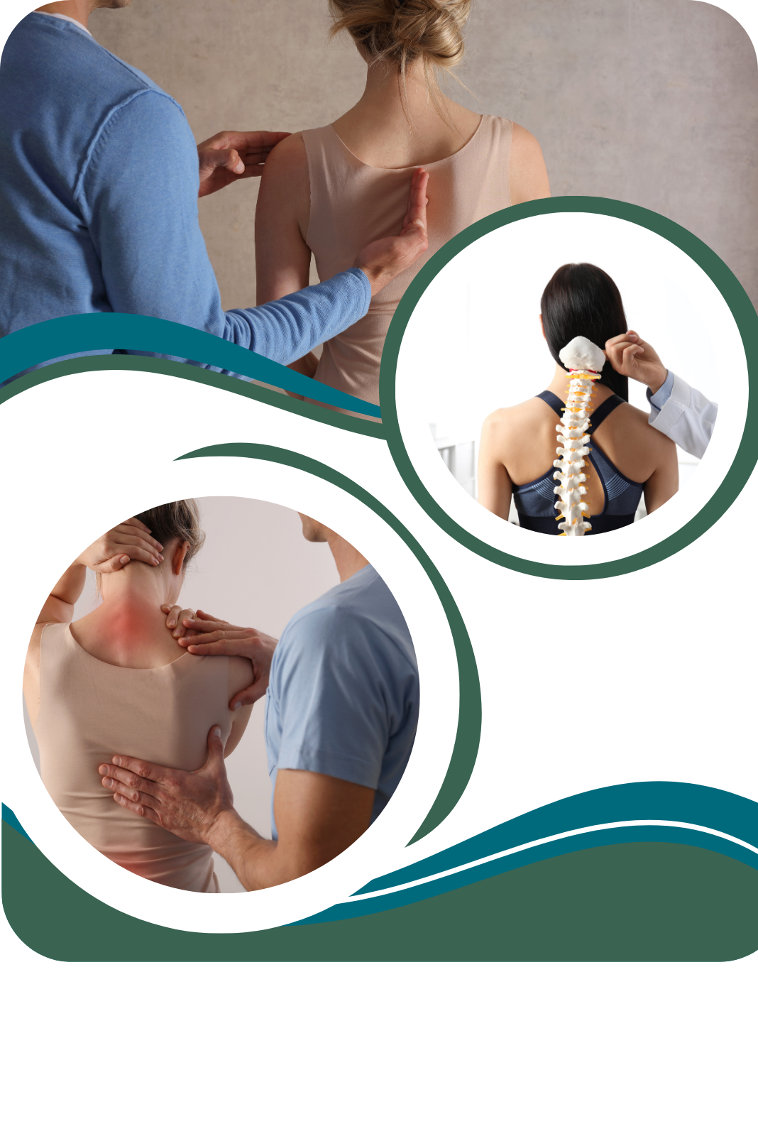 Abouts US Spinal 1