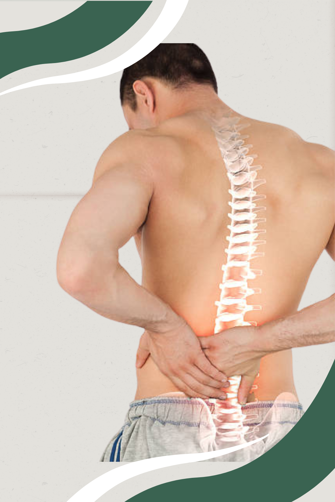 Spine 4