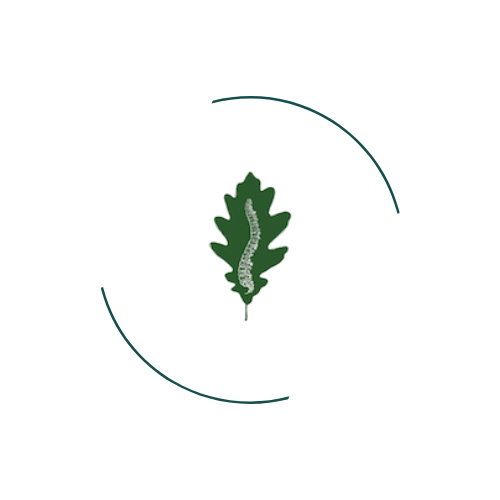 Oak Osteopathy